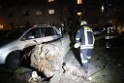 Sturm Baum auf PKW s Koeln Mauenheim A Gruenen Hof P04